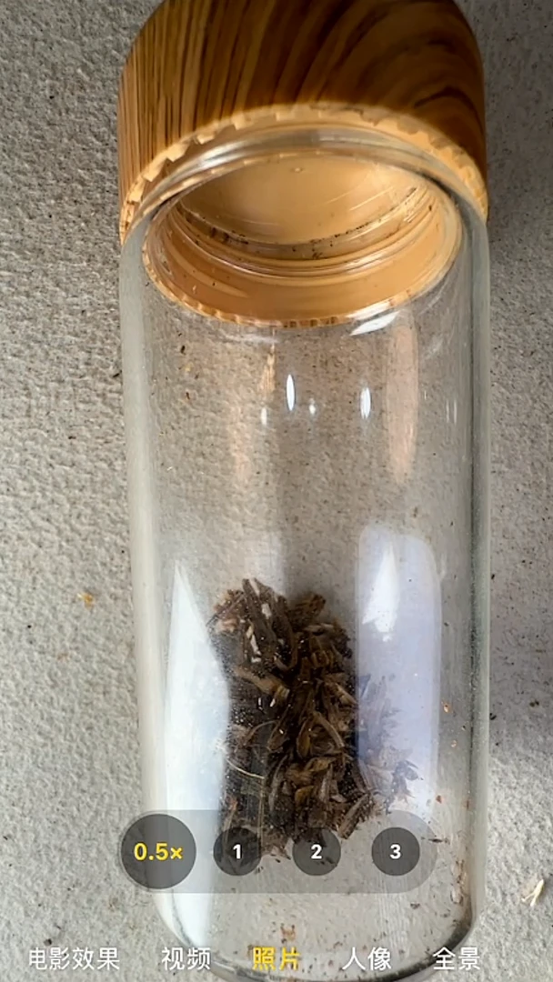 沉香手串蓝*沉香奇楠粉