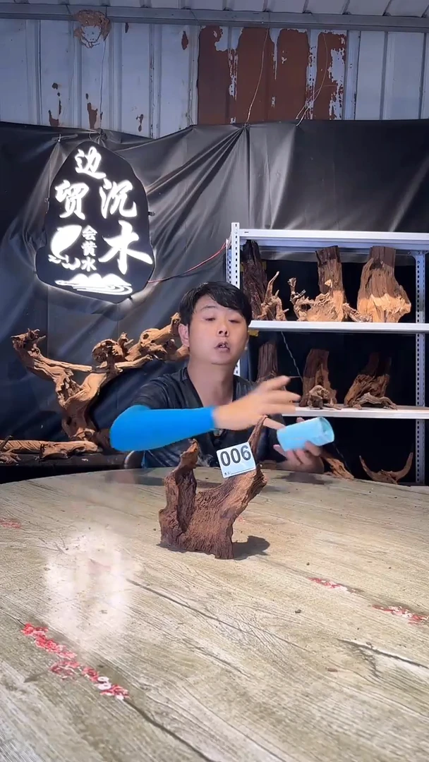 云南紫釉沉木 料场直发 不需要煮 秒沉 精打磨发货