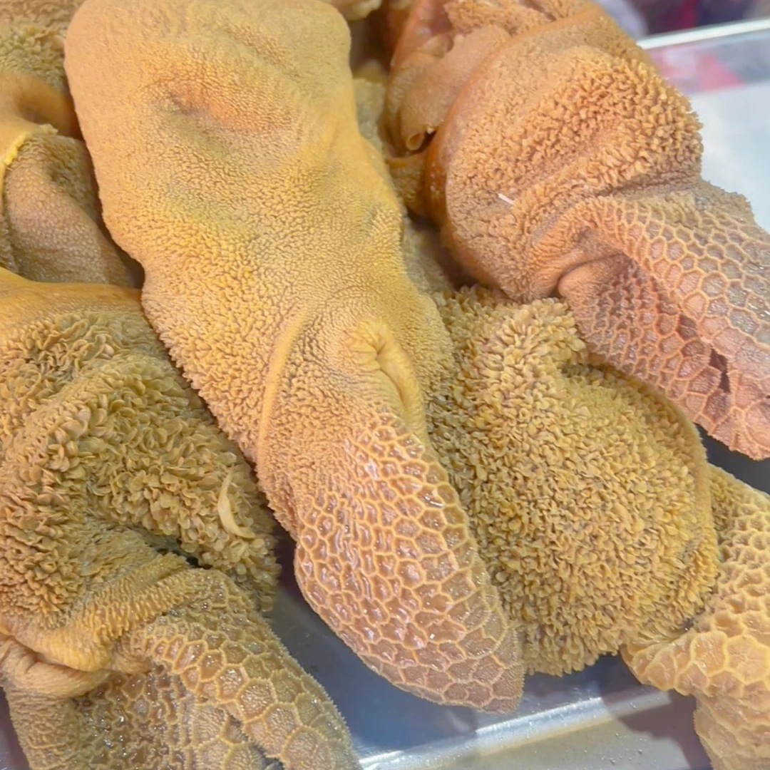 【清真 五香羊肚】河南南阳特产 特色美食