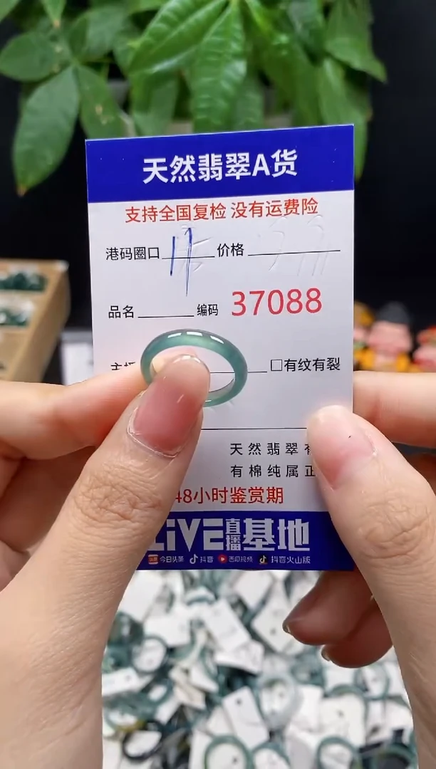 翡翠戒指未镶嵌天然翡翠戒圈7088