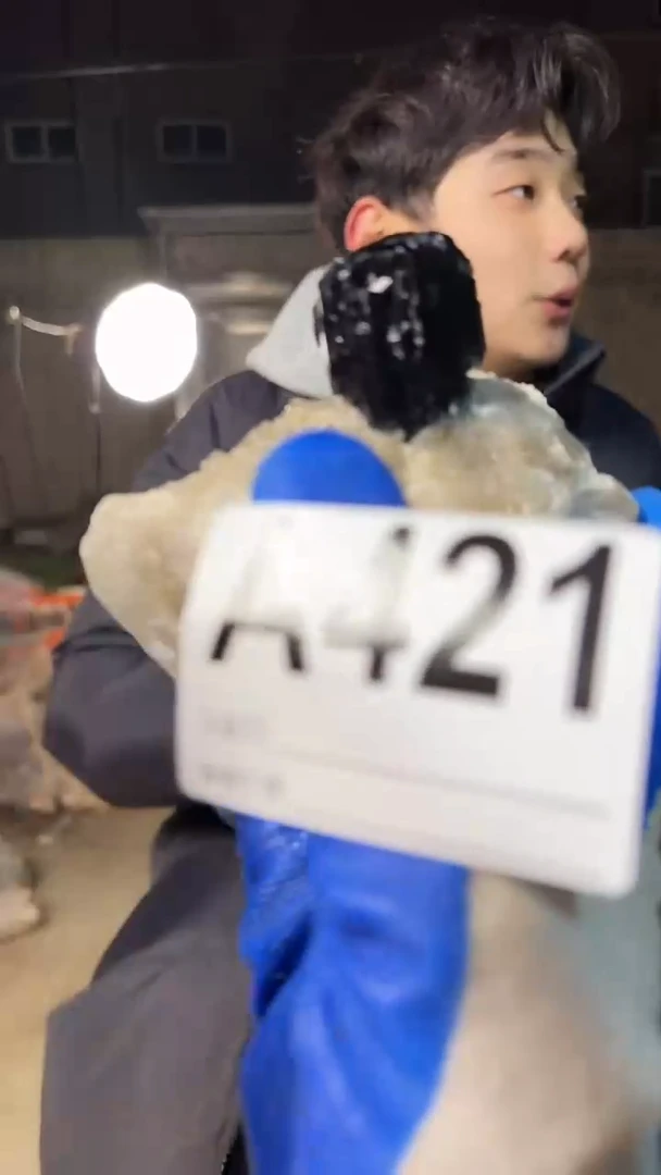 【闪购商品】水晶摆件未镶嵌水晶bx 421