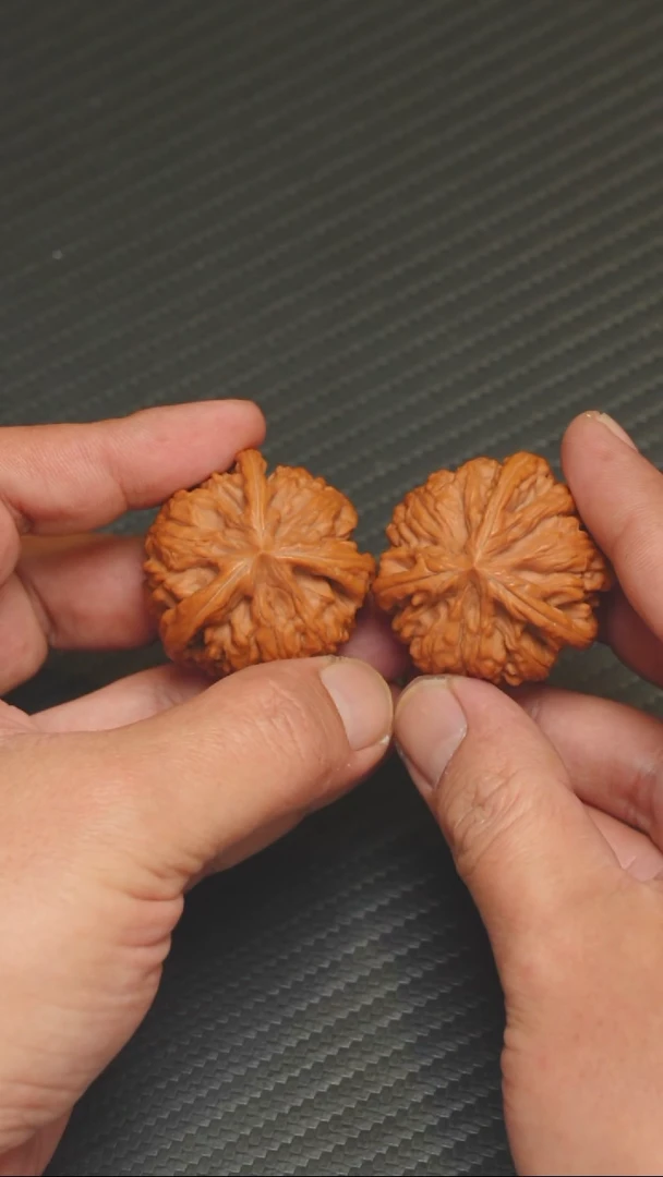 精品御龙粗筋全品38