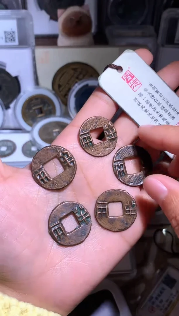 【闪购商品】铜钱缘/89/HBL5枚//B5