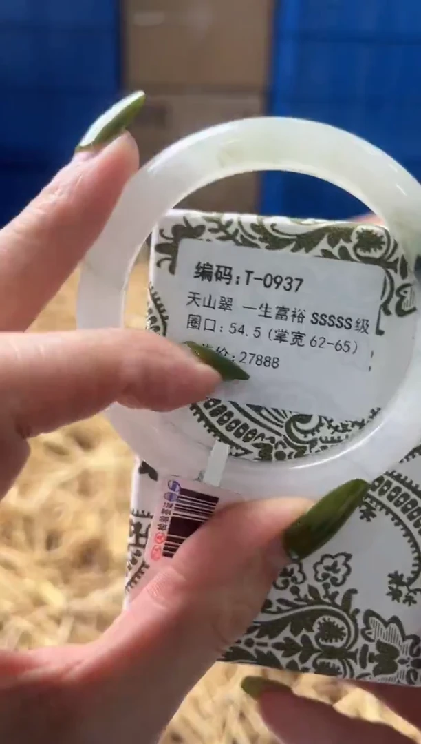 未镶嵌手镯石英质玉T0937