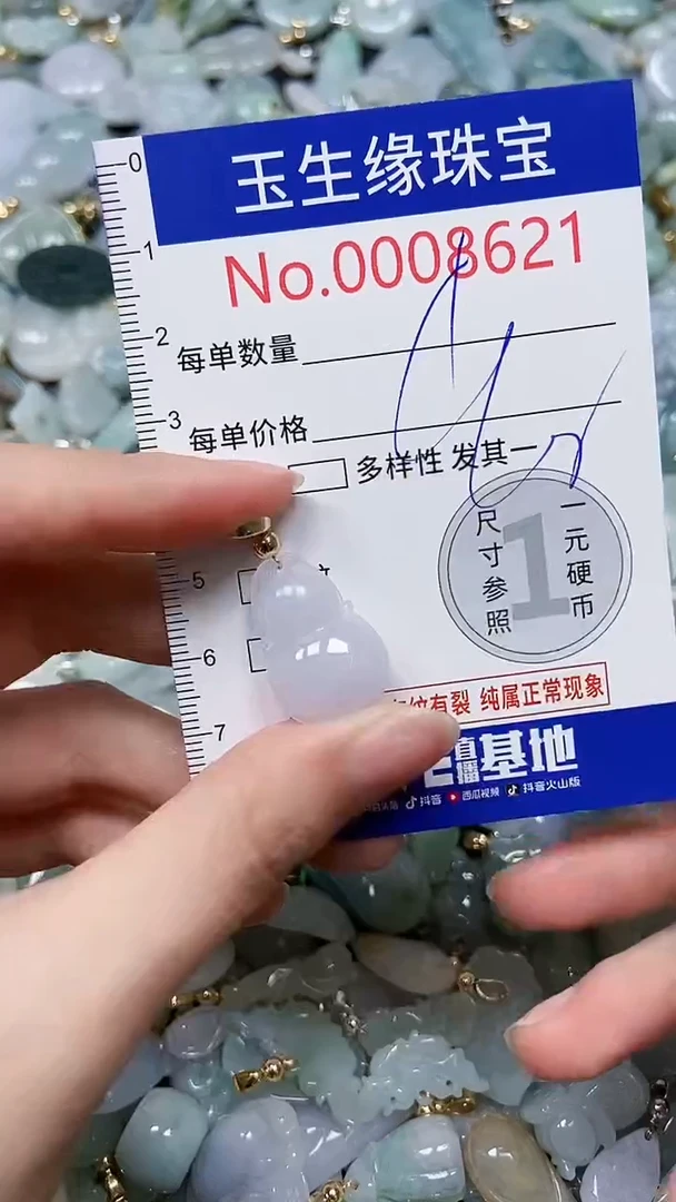 【闪购商品】翡翠颈饰未镶嵌闪购00008621