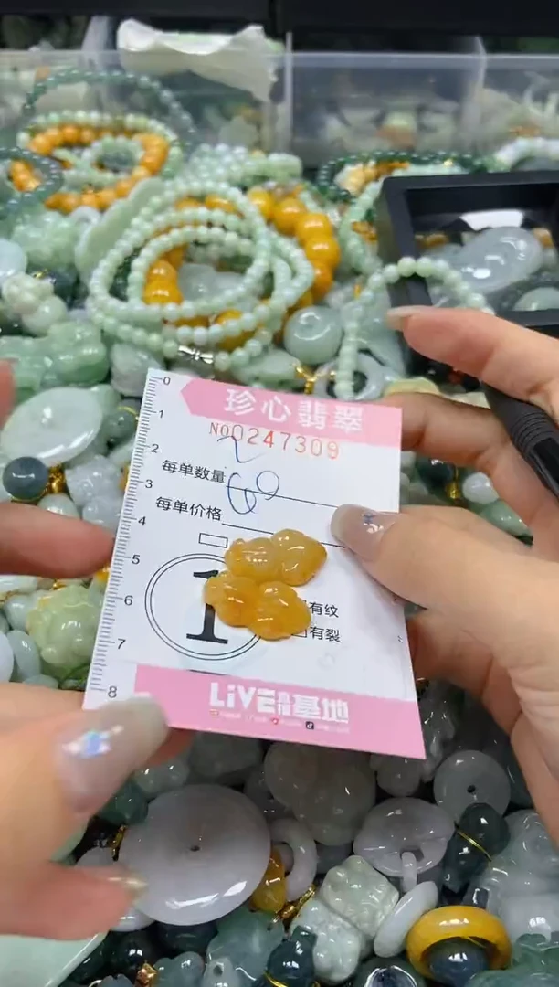 翡翠未镶嵌颈饰闪购0247309