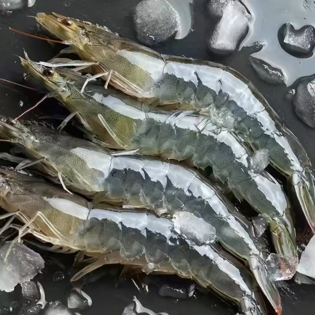 LL【30-40大虾】大个头海洋大虾单只15-18cm 一盒4斤48-60只