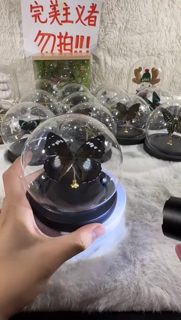 白斑迷水晶球
