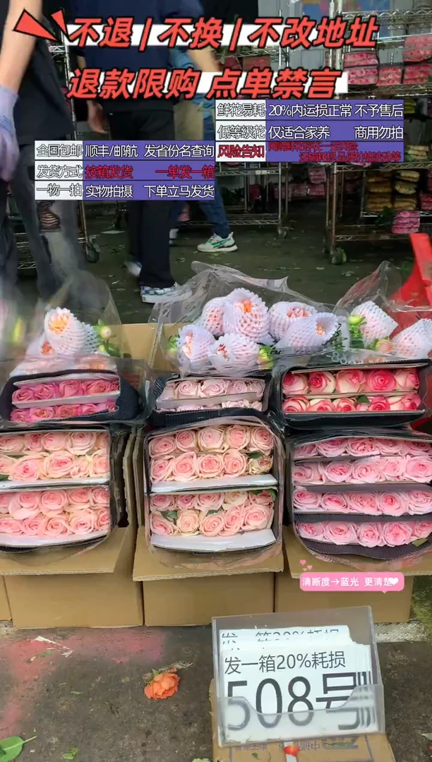 508号♥含20%耗损发一箱