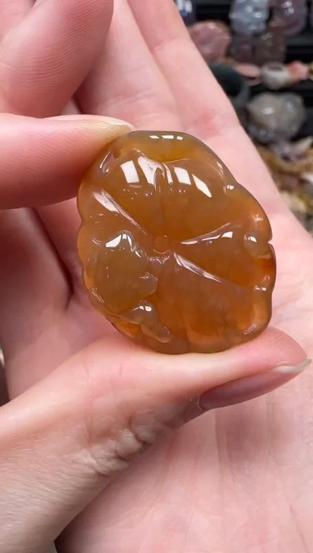 颈饰未镶嵌硅化珊瑚（珊瑚玉）219