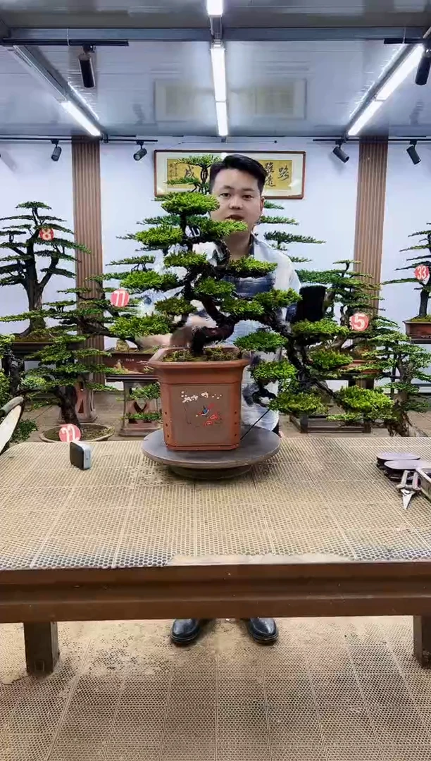 一物一拍，所见即所得