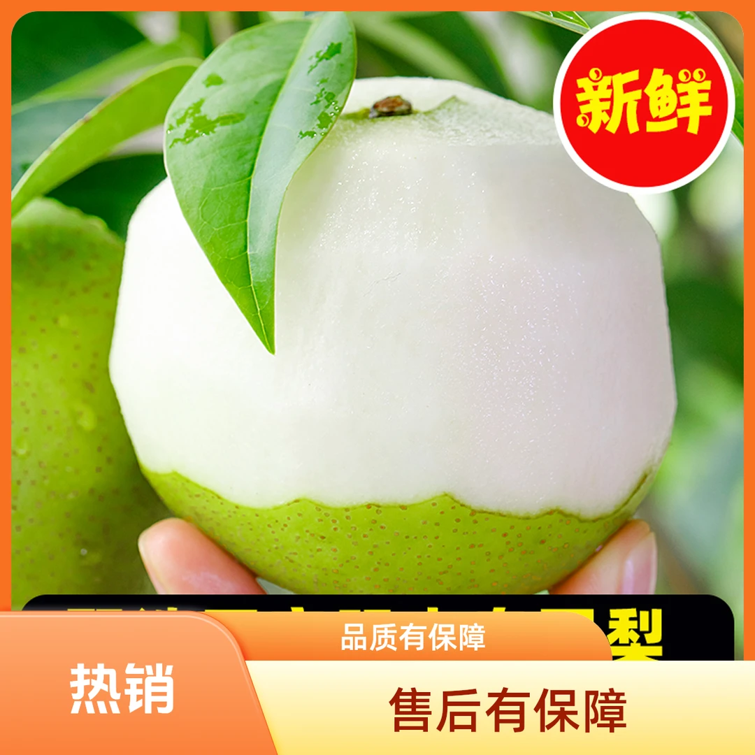 【2025年正宗砀山皇冠梨】砀山梨新鲜应季水果包邮砀山梨皮薄爆汁