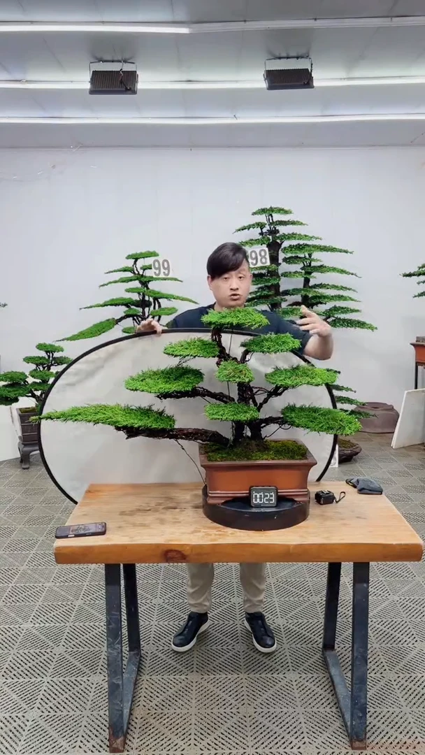 无花朵造型盆景一物一拍