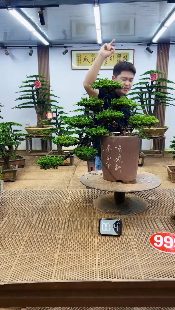 无花朵一物一拍，所见即所得