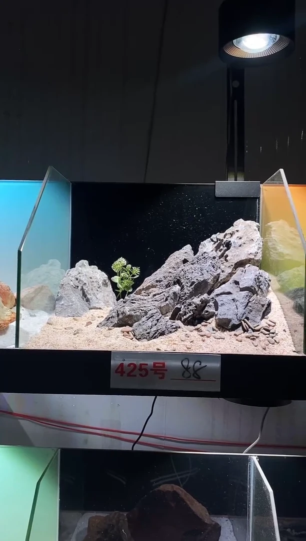 425号鱼缸造景（不含底砂）