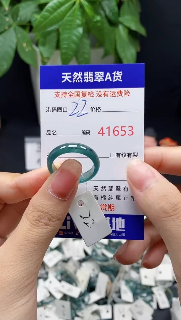 翡翠戒指未镶嵌 天然翡翠戒圈1653