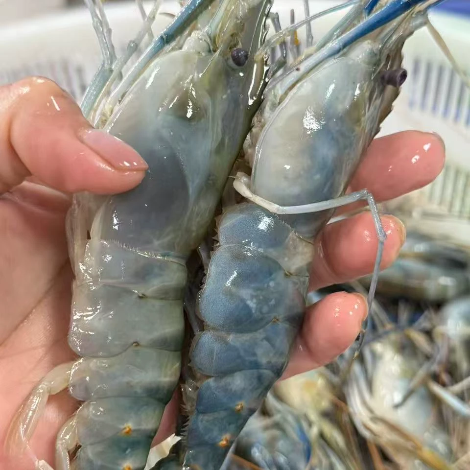 罗氏虾3斤。保鲜不包活
