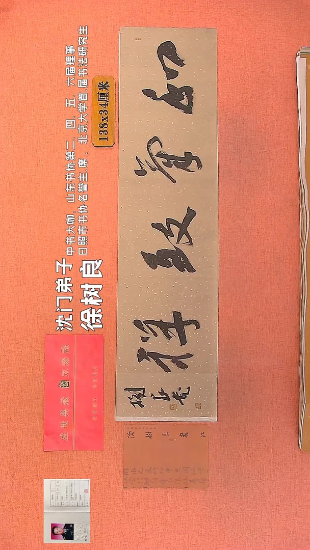 【闪购商品】书法93    徐树良老师作品