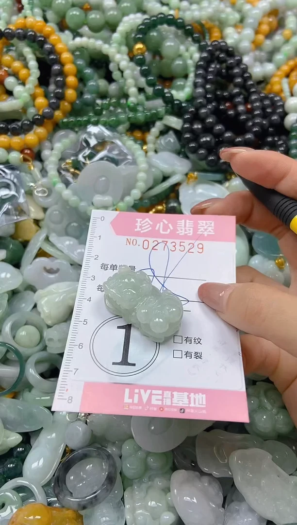 翡翠未镶嵌颈饰闪购0273529