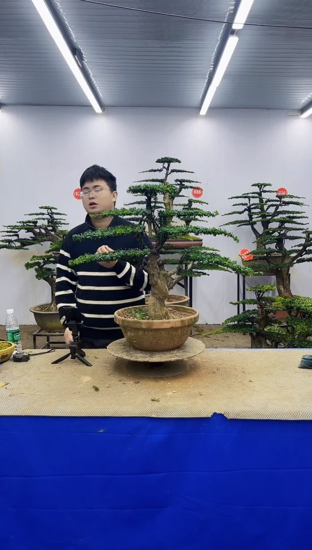 完全开放一物一拍，所见即所得