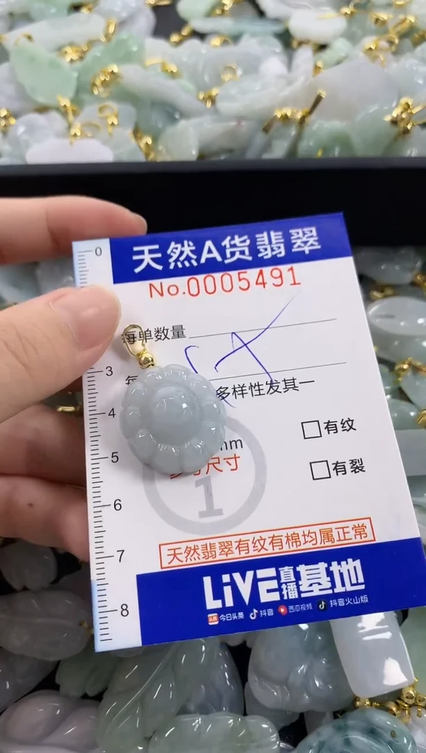 颈饰未镶嵌翡翠天然A货翡翠