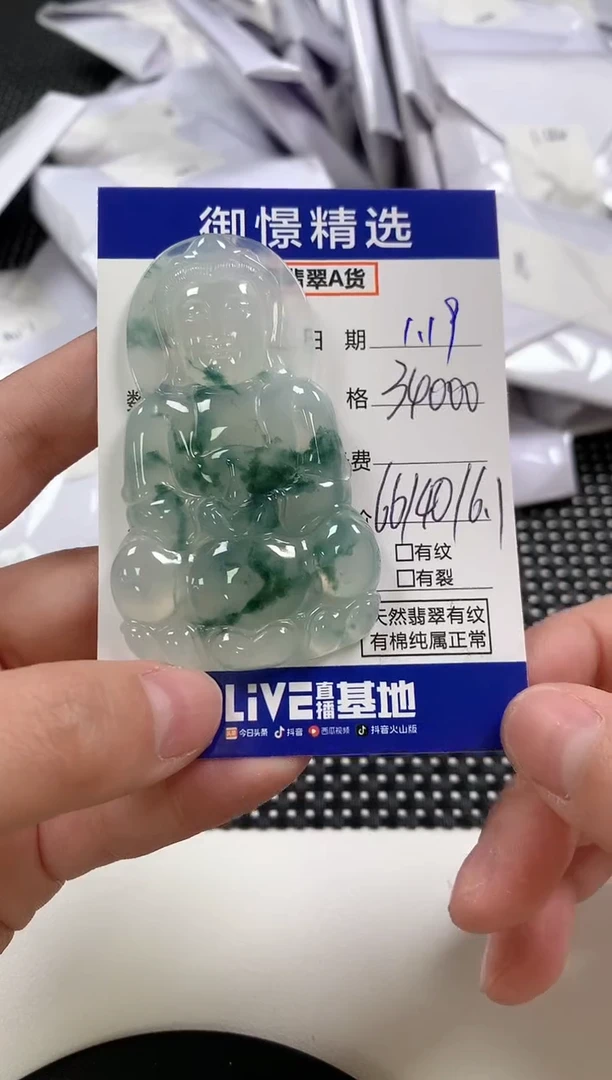 【闪购商品】翡翠颈饰未镶嵌33