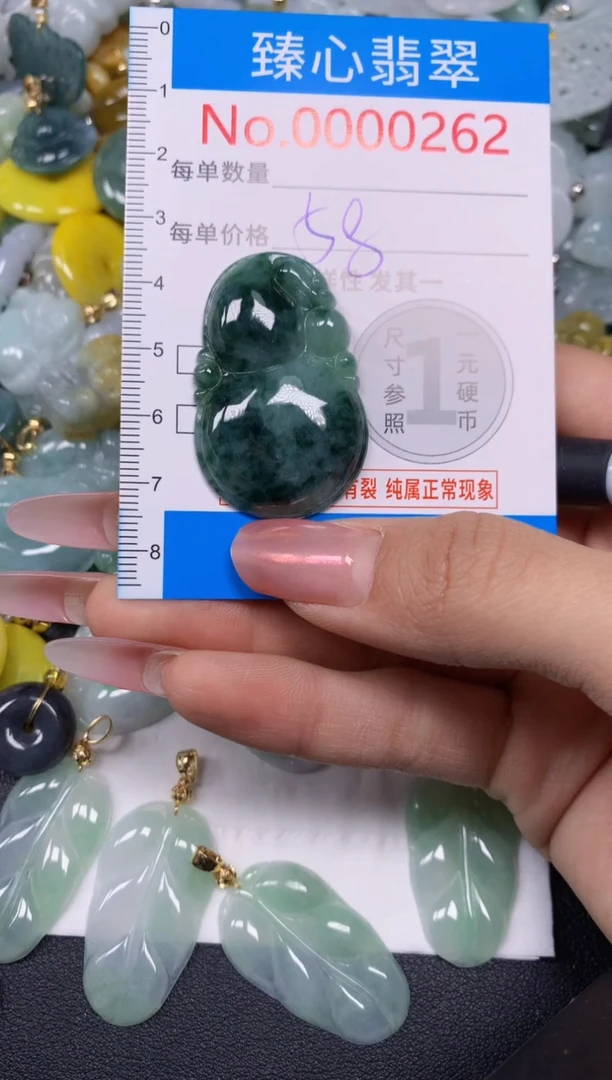 【闪购商品】翡翠颈饰未镶嵌含绳000262