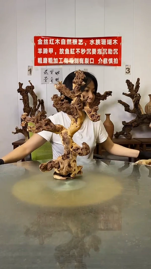 香榧木&****&金丝红木   羊蹄甲