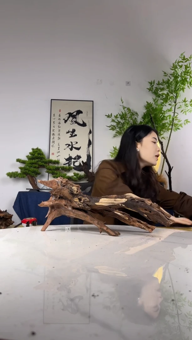 半****欢拍这个定向编号25