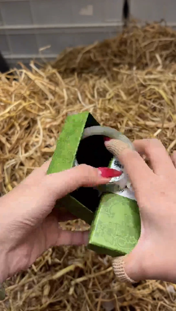 未镶嵌手镯石英质玉T5684