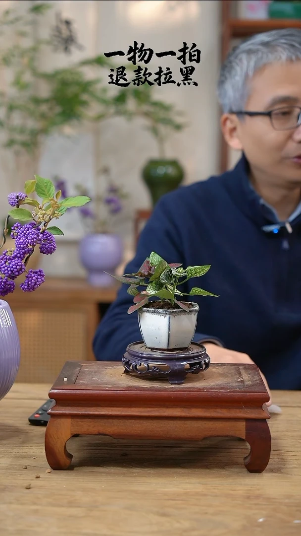完全开放ঞ****。310嫣红蔓