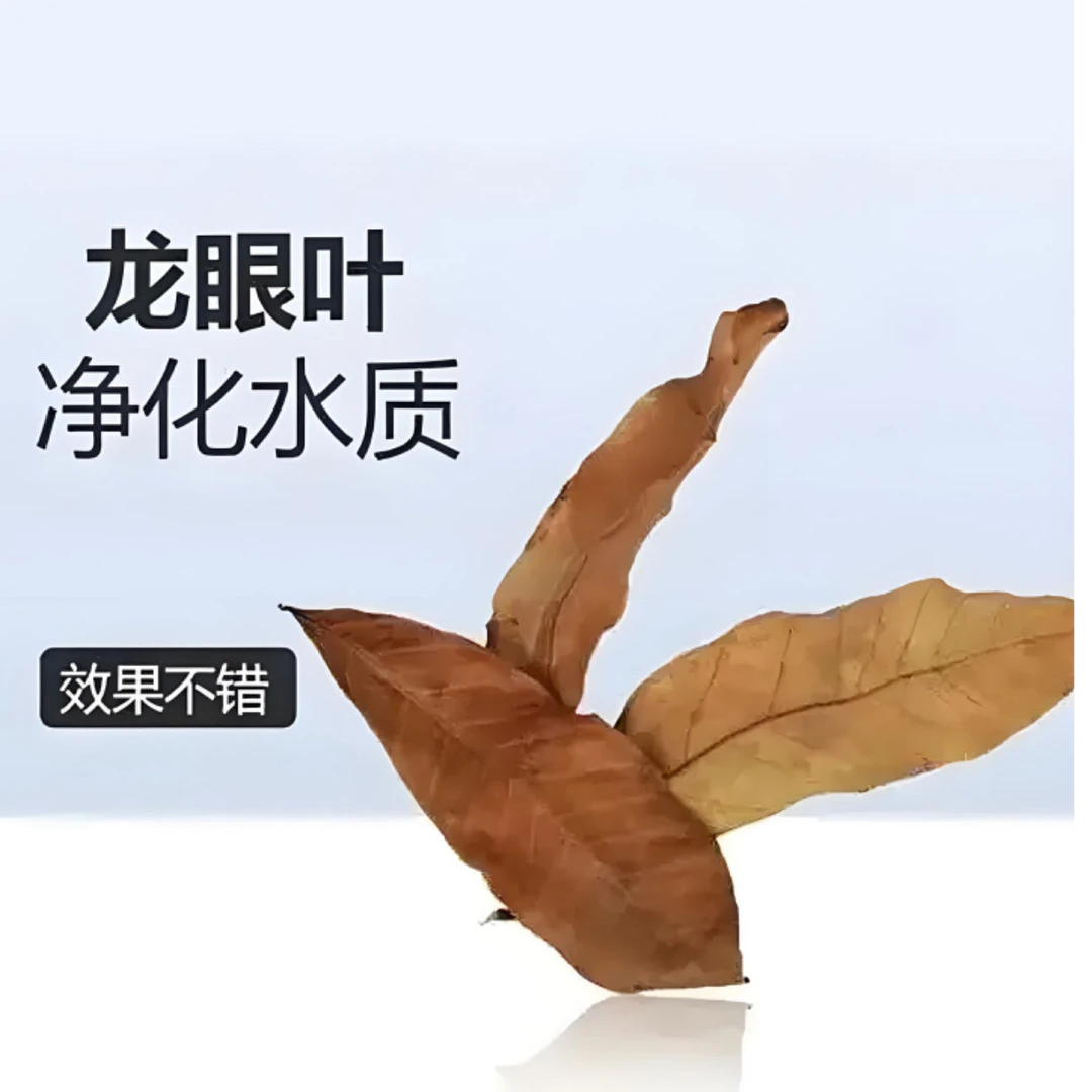 龙眼叶躲避防腐皮 一次购买终身续箱 后期购买只需要支付包装运费
