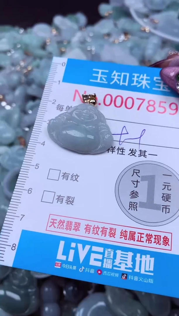 吊坠(不含链)未镶嵌翡翠7859