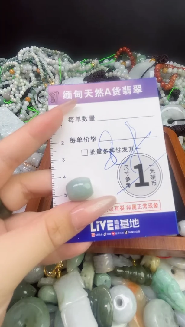 颈饰未镶嵌翡翠颈饰 未镶嵌 翡翠060