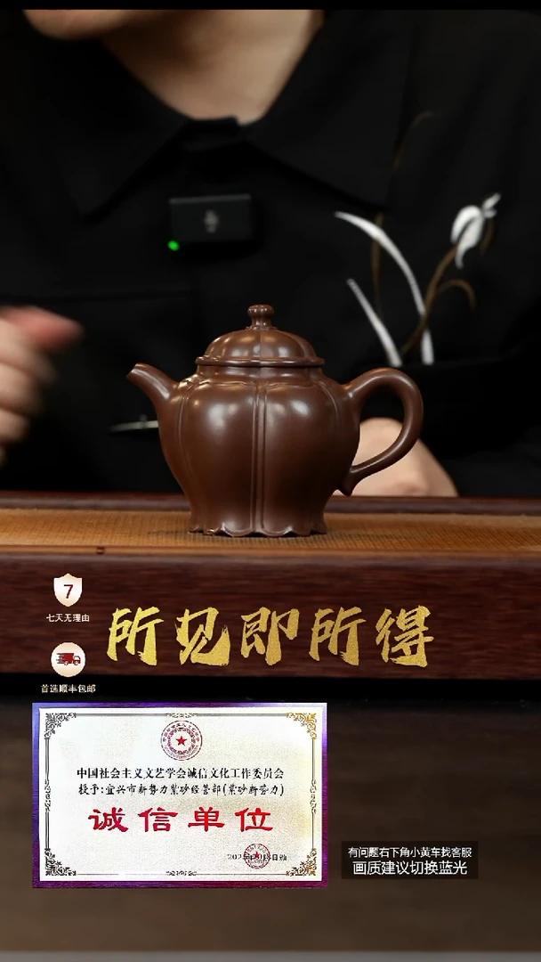 茶壶紫砂原矿五号井底槽清筋纹宫灯