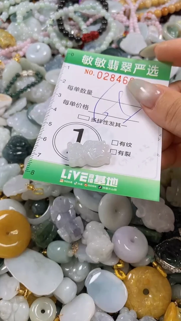 翡翠未镶嵌颈饰闪购0284603