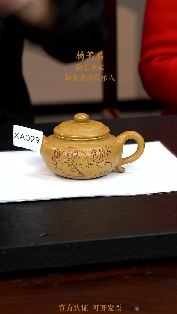 【闪购商品】紫砂茶壶XA029-0117JMY
