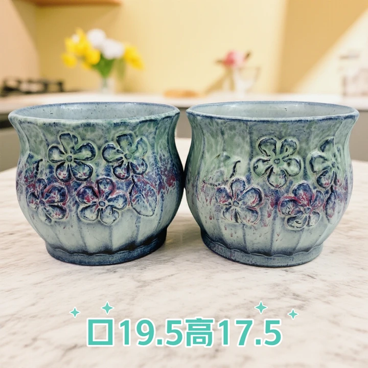 2012喷花撒点花边大南瓜群生大单头多肉植物花盆粗陶