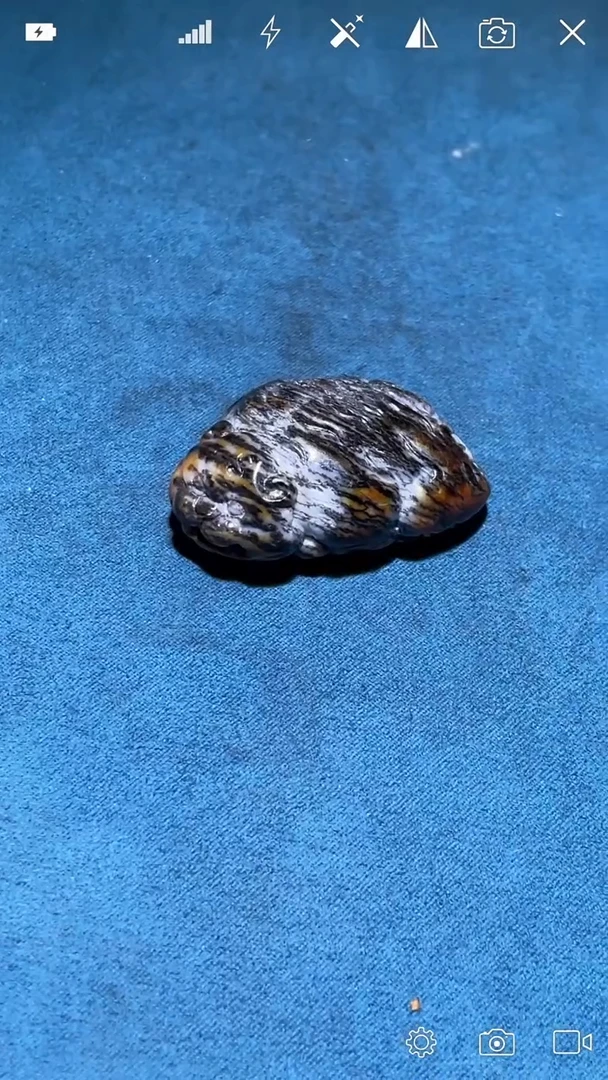 定制和田玉y  可爱小老虎