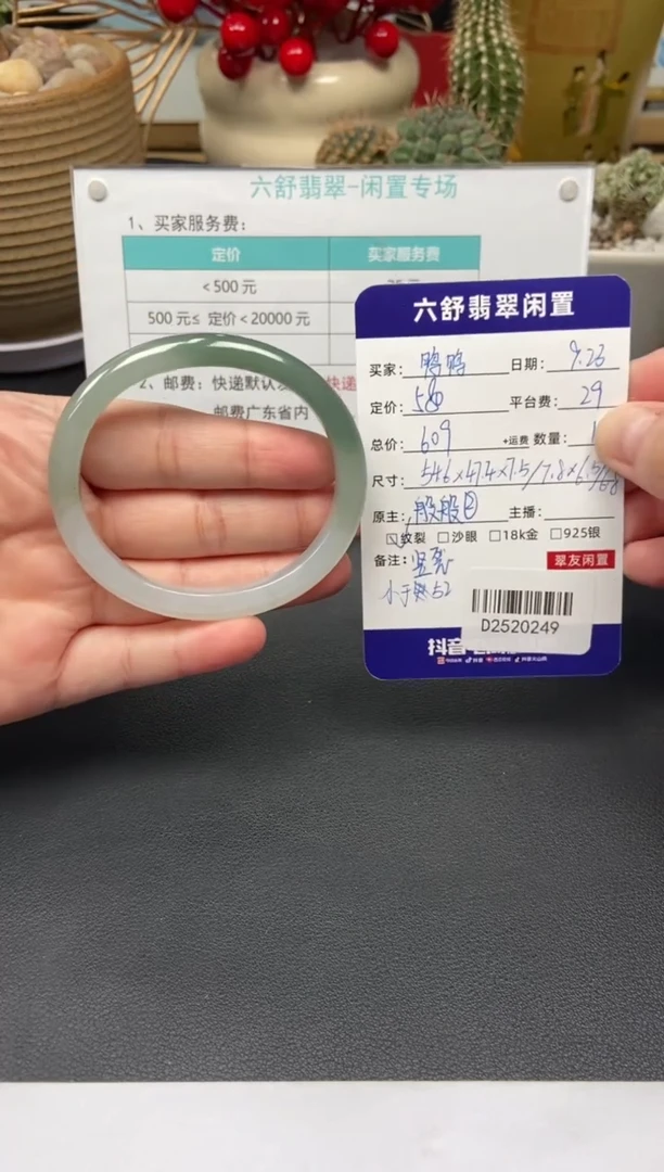 未镶嵌手镯翡翠鸭*D2520249