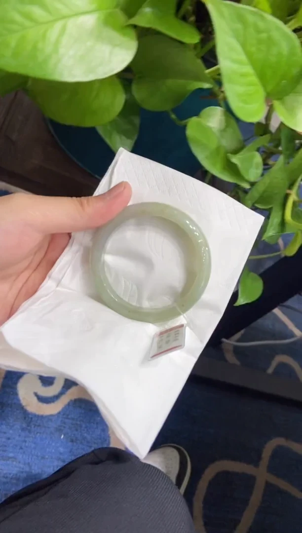 未镶嵌手镯翡翠8198****