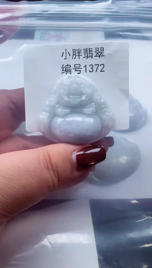 颈饰未镶嵌翡翠缅甸天然A货翡翠1372