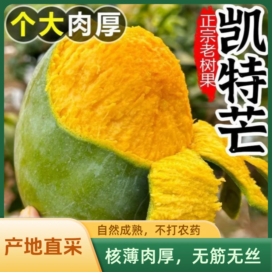 【放软食用】五斤装四川攀枝花凯特芒果整箱应当季水果特大包邮