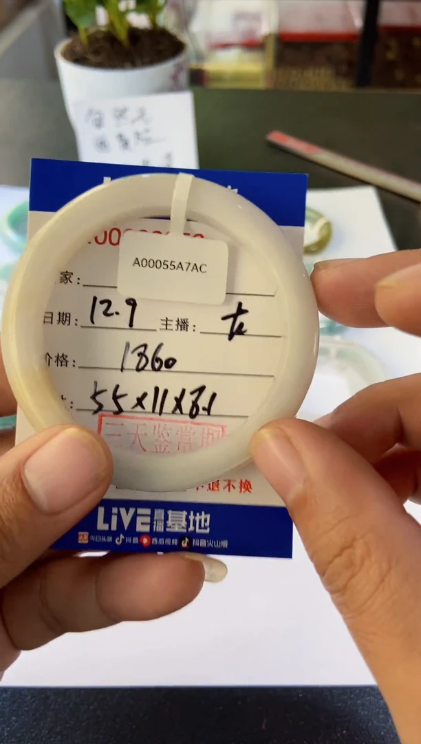 未镶嵌手镯翡翠10