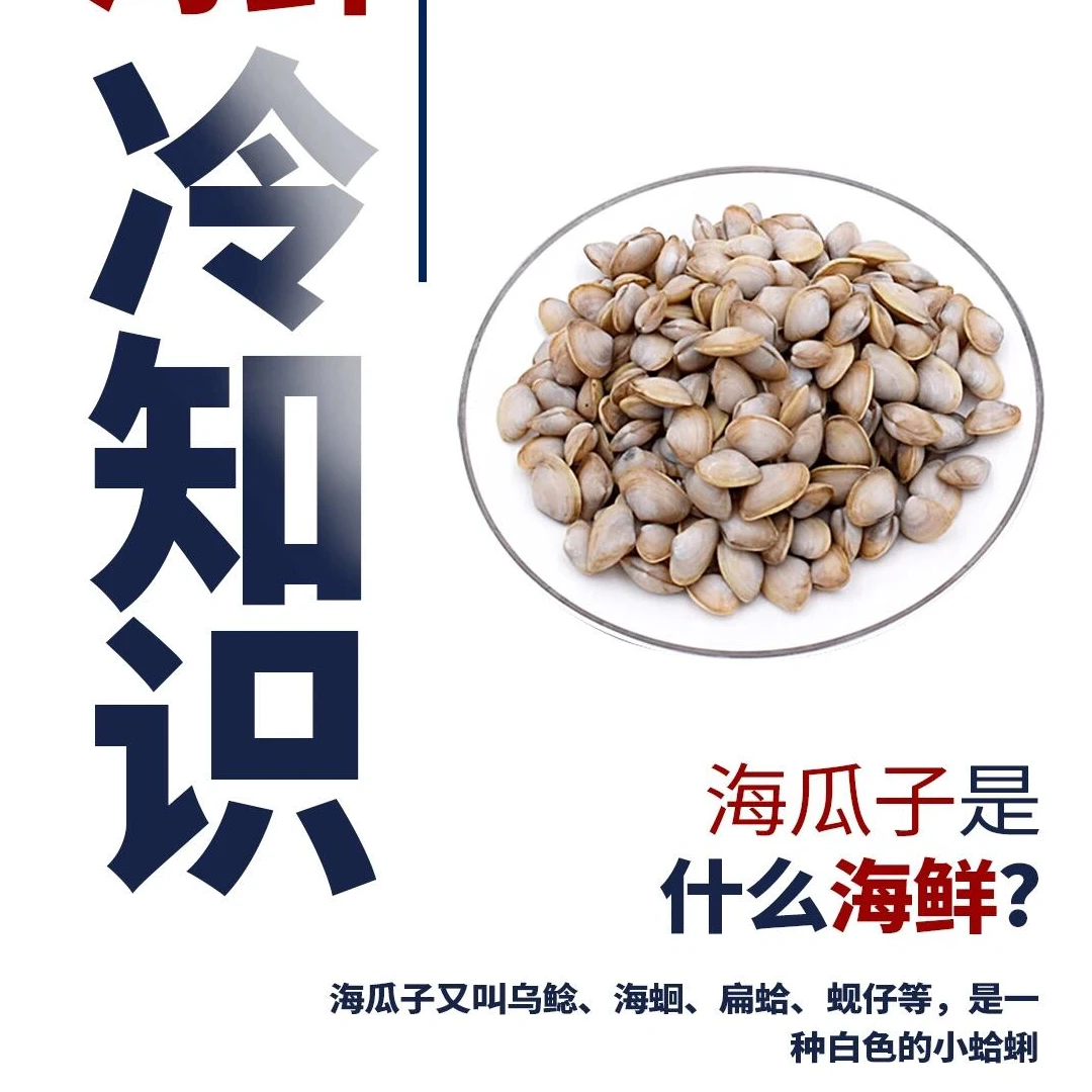 营口海瓜子小乌鲶海蛔扁哈蚬子小蛤蜊保鲜保肥顺丰包邮