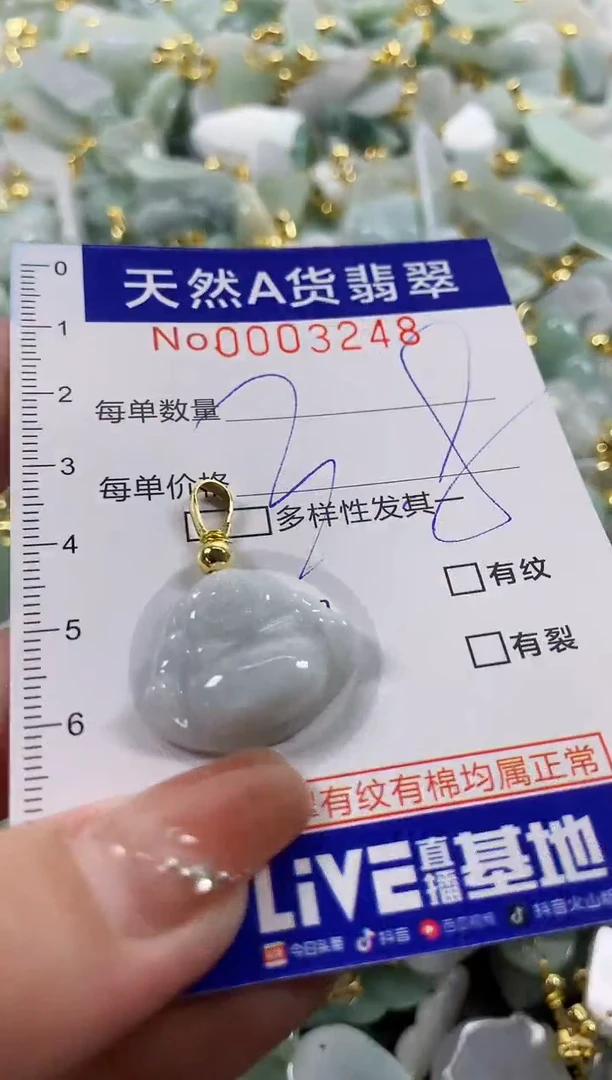 颈饰未镶嵌翡翠天然A货翡翠