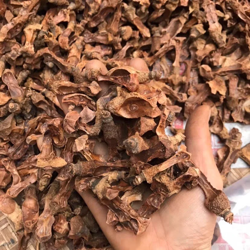 茶籽芯广西农家老树茶子心干货包邮