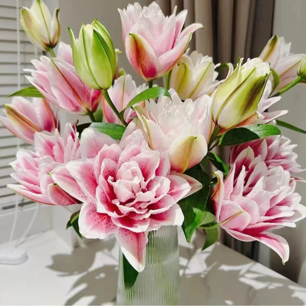 【火星之恋】重瓣浓香型百合【气温原因，上色不均匀，介意勿拍】