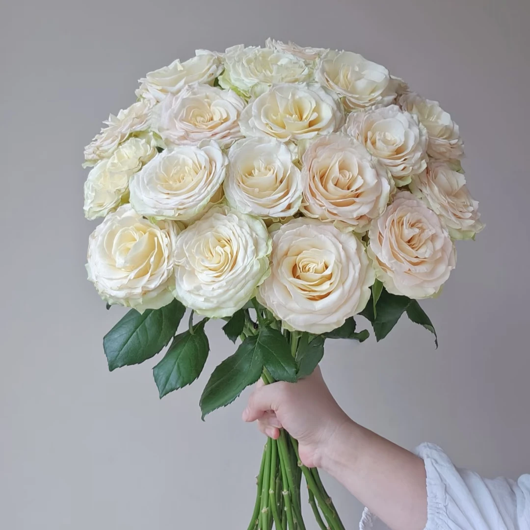 【琉璃翠】单头玫瑰（全场同一地址两单顺丰冷链包邮噢~）