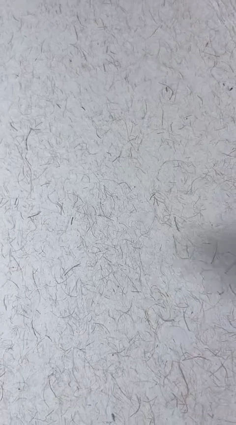 四尺整张山麻手工宣纸